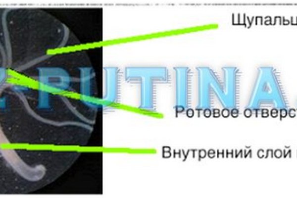 Что продают на сайте кракен