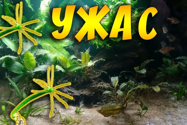 Kraken сайт магазин