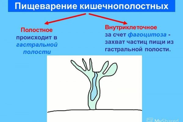 Kraken darknet kraken darknet 2n com