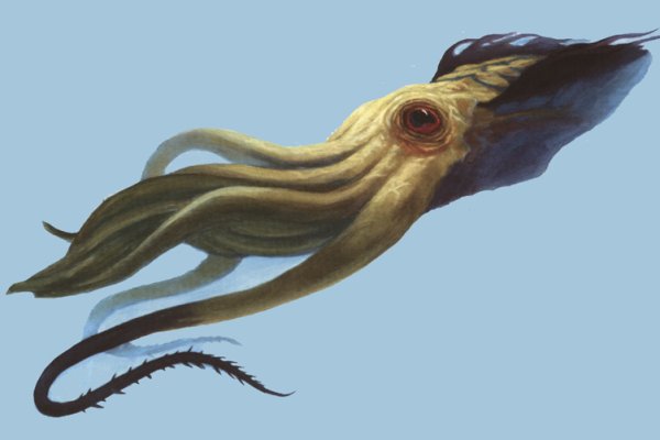 Kraken darknet marketplace