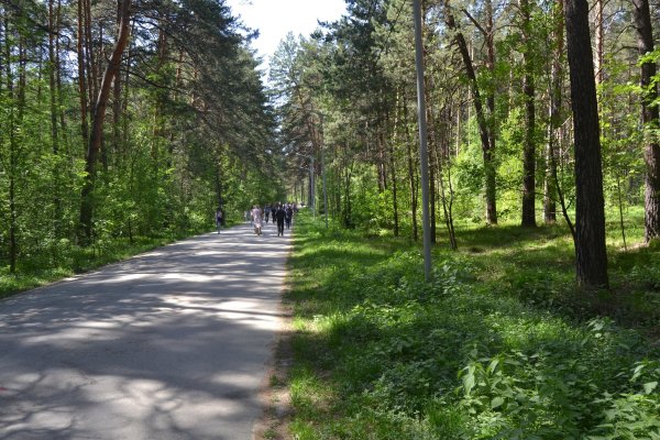 Кракен макет даркнет