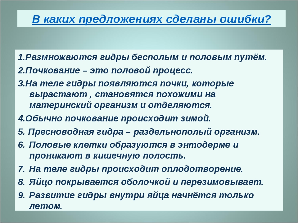 Как войти в даркнет